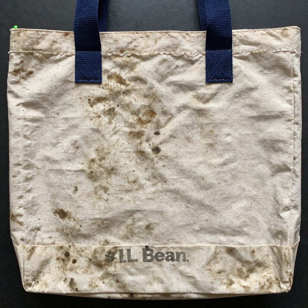 A dirty LL Bean tote bag with visible stains and dirt