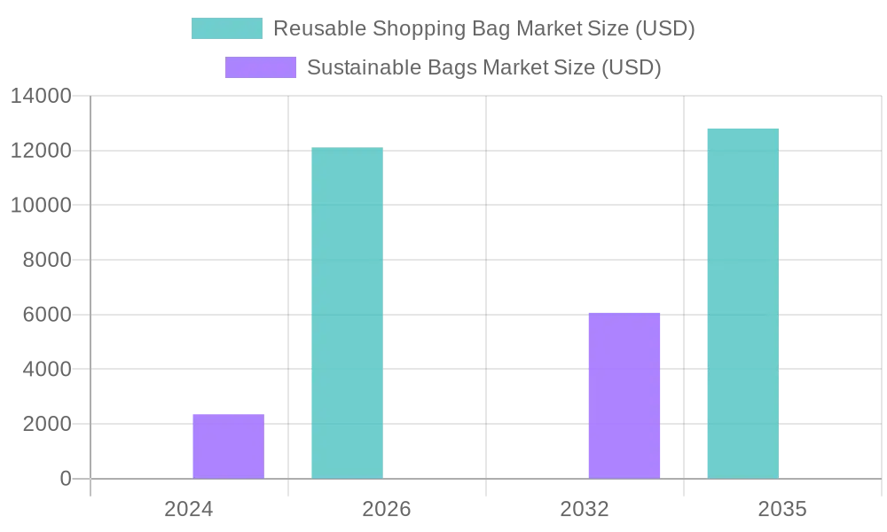 Market Size Comparison for Reusable and Sustainable Bags